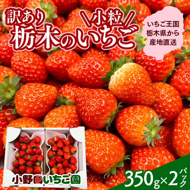 【ふるさと納税】訳あり 小粒いちご ｜ とちおとめ とちあいか イチゴ 苺 栃木県 果物 フルーツ 栃木県 壬生町 産地直送 ※2026年3月上旬～5月下旬頃に順次発送予定 ※離島への配送不可