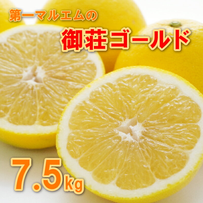 【ふるさと納税】 御荘ゴールド 7.5kg 10000円 みかん mikan 蜜柑 ミカン 河内晩柑 かわちばんかん 愛南ゴールド 産地直送 国産 農家直送 期間限定 数量限定 特産品 ゼリー ジュース アイス 冷凍 みかん 等に 人気 甘い フルーツ 柑橘 おいしい 第一マルエム 愛南町 愛媛県