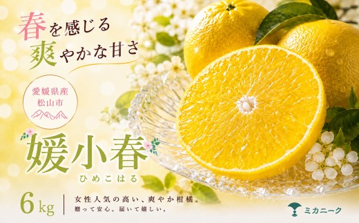 【知る人ぞ知る】 驚きの甘さ 【媛小春】 6kg 愛媛県産 【2027年1月下旬頃から順次発送】 | みかん ミカン mikan 蜜柑 訳ありフルーツ 柑橘 果物 おすすめ お勧め お取り寄せ ギフト 愛媛県 松山市