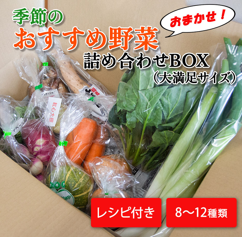 季節のおすすめ野菜おまかせ詰め合わせBOX 8種～12種類【16002】