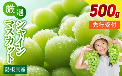 【先行予約】【数量限定】島根県産 シャインマスカット 500g 【215_0001】