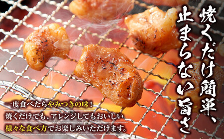 ＜訳アリ＞牛マルチョウ　特製味噌漬け　0.3kg(300g×1）【2026年10月発送】