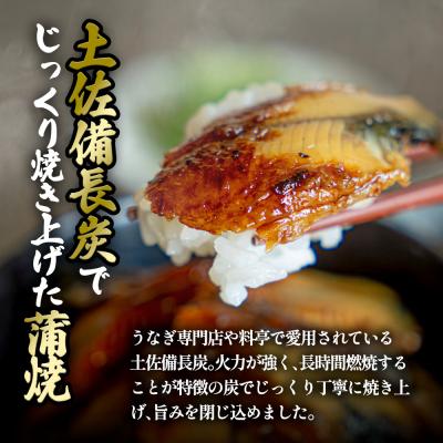 ふるさと納税 田野町 【四国一小さなまち】きざみうなぎ蒲焼約80g×6P計約480gカット済み蒲焼き かば焼き 鰻tano |  | 01