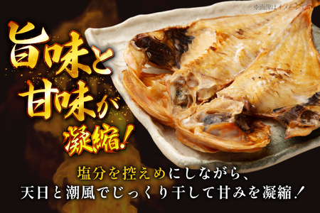 6回 定期便 魚 惣菜 平戸 干物 詰め合わせ 16種