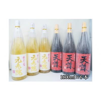 ふるさと納税 錦江町 白玉醸造「天誅・元老院(1升瓶)」6本セット(No.4029-3)