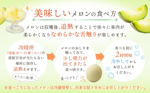 メロン 越谷スカイメロン 紺碧【数量限定】| メロン めろん スカイメロン すかいめろん 水耕栽培メロン 水耕栽培めろん みずみずしい 爽やかな味 美味 1玉 1.5kg 贈答品 贈り物 ギフト プレゼント メロン めろん スカイメロン すかいめろん フルーツ 果物 くだもの 水耕栽培 人気 おすすめ 農業デザイン 埼玉県 越谷市