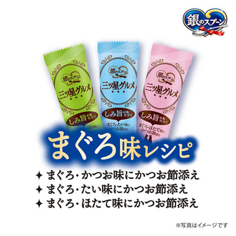 銀のスプーン 三ツ星グルメ しみ旨 お魚仕立て まぐろ味レシピ 3種のアソート 160g×14箱 ペットフード キャットフード 猫のごはん 猫用フード 猫 ペット 小分け 個包装 ドライ ユニ・チャー