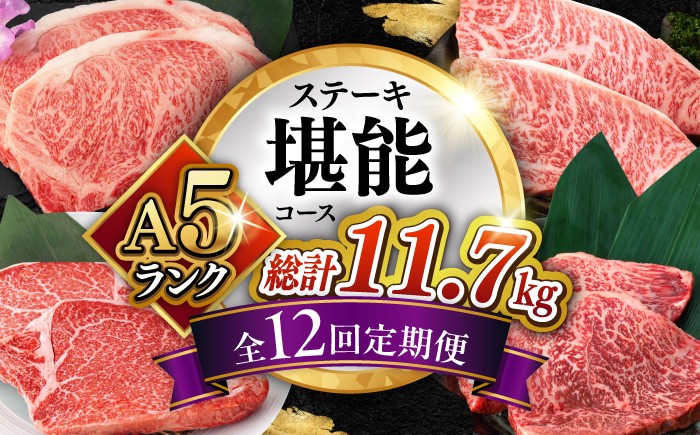 
                  【12回定期便】長崎和牛 A5 ステーキ堪能コース 総計11.7kg / モモ リブロース イチボ サーロイン ランプ ヒレ レモンステーキ 毎月届く 50万 500000 50万円 百万 ぴったり 和牛 肉 牛肉 ステーキ 焼肉 A5 ステーキ 定期便 / 諫早市 / 野中精肉店 [AHCW086]
                