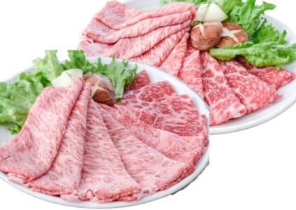 A5等級鹿児島県産黒毛和牛2種のスライスセット400g(カミチク/A-409)