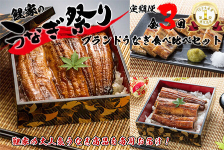 1989-1 【定期（全3回）】大人気！鯉家の絶品蒲焼ブランドうなぎ食べ比べセット【国産・手焼き備長炭】 KN040-T05 うなぎ ウナギ 鰻 うなぎ蒲焼 鰻蒲焼き ウナギ蒲焼 惣菜 総菜 定期便 定期 魚類 魚貝類 魚介類 海産物 鰻重 うな重 ひつまぶし 鰻丼 土用の丑 魚 冷凍 鯉家 ふるさと納税 鹿児島 鹿屋市 おすすめ ランキング プレゼント ギフト