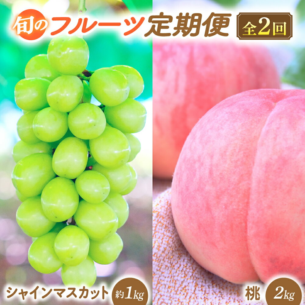 【ふるさと納税】【2025年発送】プレミアムフルーツ定期便 先行予約 先行 予約 山梨県産 産地直送 フルーツ 果物 くだもの ぶどう ブドウ 葡萄 シャイン シャインマスカット 新鮮 人気 おすすめ 国産 贈答 ギフト お取り寄せ 山梨 甲斐市 AD-219