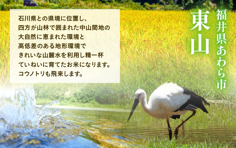 【先行予約】【令和8年産】定期便 ≪6ヶ月連続お届け≫ 化学肥料不使用 月あかり 精米 5kg × 6回（合計30kg）※2026年10月上旬より順次発送予定 [aw010-f012]
