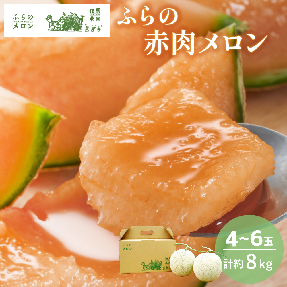 【2026年6月～発送】富良野 赤肉 メロン 4～6玉入 計約8kg 大玉 (相馬農園) メロン フルーツ 果物 北海道