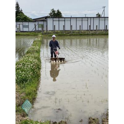 ふるさと納税 川西町 【令和7年産】栽培期間中農薬不使用米 つや姫精米 10kg |  | 03