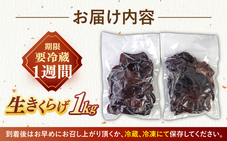福岡県産 生きくらげ 1kg 木耳 キクラゲ 国産 桂川町/オドラ株式会社[ADBA001]