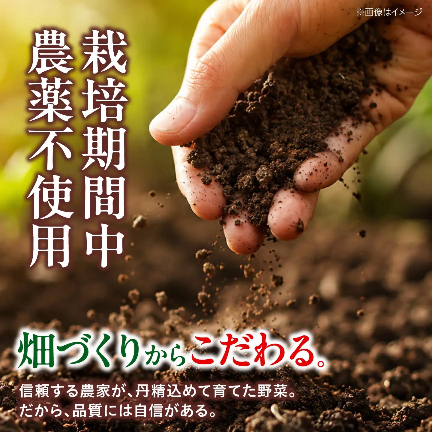 野菜セット（12-16種）野菜 詰め合わせ [AGBX003]