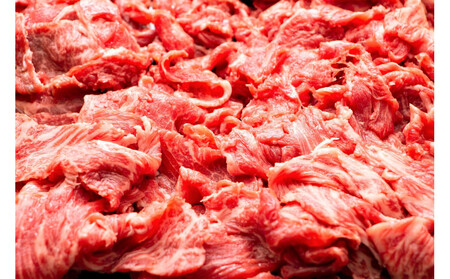 訳あり 博多和牛 切り落とし 5kg ( 500g×10パック ) |  牛肉 切り落とし 和牛  切落し お肉 肉  切り落とし 小分け 切り落とし 不揃い 5000g 5キロ 切り落とし 肉じゃが
