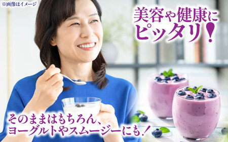 【全4回定期便】青い宝石 国産 急速冷凍ブルーベリー 計約1kg（約500g×2袋） 果物 くだもの フルーツ ぶるーべりー 熊本県 菊陽町【アグファーム株式会社】[BHCX012]