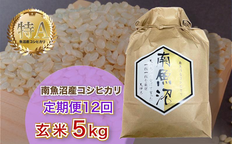 
令和5年産 12ヶ月定期便【玄米5㎏/12回】「越後湯沢産」【湯沢産コシヒカリ】
