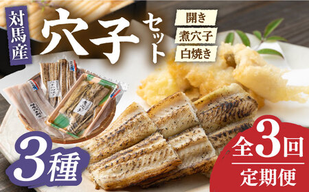 【全3回定期便】対馬 穴子 セット 500g《対馬市》【海風商事】国産 九州 長崎 煮穴子 白焼き[WAD038] コダワリ穴子・あなご・アナゴ こだわり穴子・あなご・アナゴ おすすめ穴子・あなご・ア
