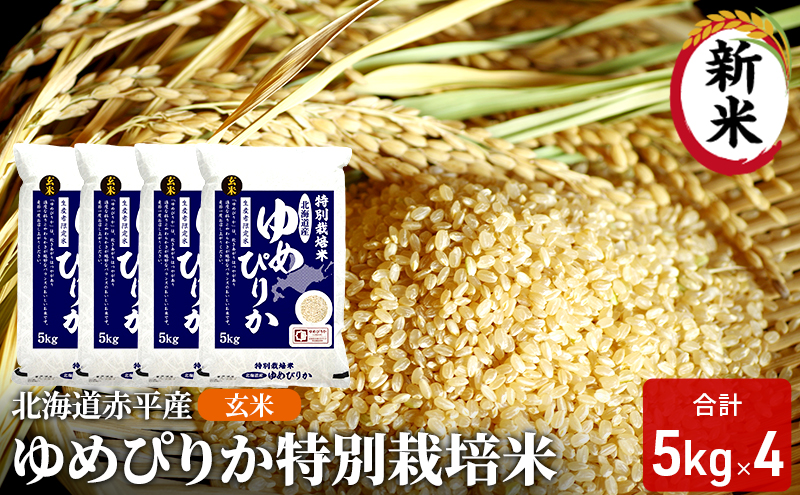 玄米 北海道赤平産 ゆめぴりか 20kg (5kg×4袋) 特別栽培米 米 北海道 お米 ふるさと納税