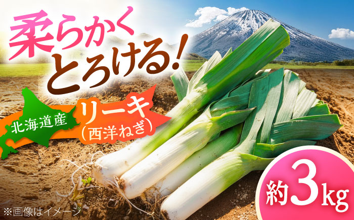 【2026年10月中旬以降順次発送】 リーキ 3kg | 野菜 ネギ ねぎ ポロネギ 西洋ねぎ リーキ | 道の駅 真狩フラワーセンター [BPAM045]