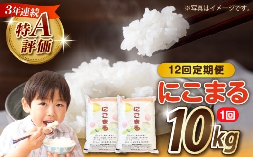 【12回定期便】長崎県産 精米 にこまる 10kg（5kg×2袋）総計120kg / 米 お米 こめ コメ 精米 / 南島原市 / 大松屋商店 [SDR016]