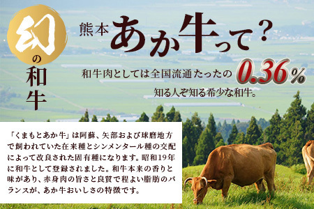 熊本あか牛 焼肉用カット ( バラ ・ ロース ) 500g 国産 牛肉 冷凍 熊本 熊本県産 あか牛 赤牛 切り落とし 041-0146