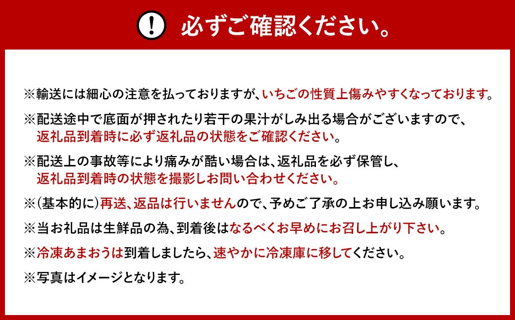 【12ヶ月定期便】【いちごの年間定期便】福岡県産あまおう（フレッシュあまおう・冷凍あまおう）