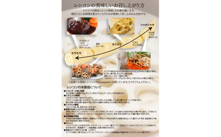 れんこん 2kg オーガニック 蓮根