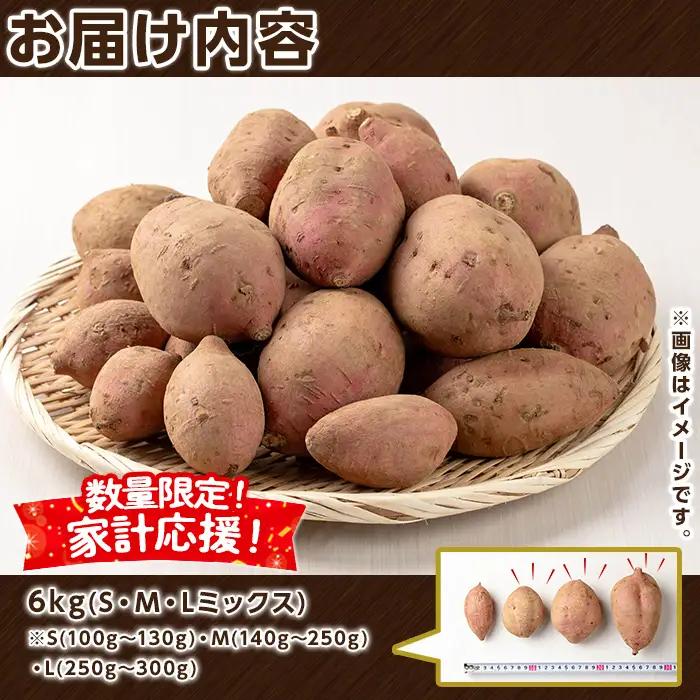 安納芋 さつまいも 6kg 生活 家計 応援 【種子島安納大地】n223-z