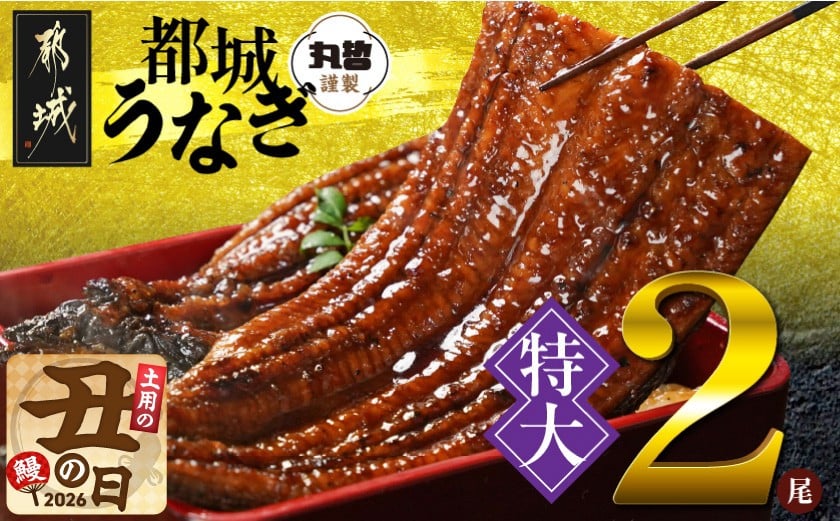 
                  【丑の日】宮崎県育ちの【特大】うなぎ蒲焼2尾440g以上≪山椒・たれ付≫≪7月20日～25日お届け≫_18-M301-UG_(都城市) 特大うなぎ蒲焼(有頭) 宮崎県産 真空 山椒・たれ付 土用の丑の日
                