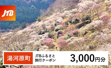 【湯河原町】JTBふるさと旅行クーポン（3,000円分）有効期間3年（Eメール発行）｜旅行 トラベル 予約 国内旅行 JTB 宿泊 観光 体験 旅行券 宿泊券 旅行予約 温泉 ホテル 旅館 チケット 子供 子連れ カップル 家族 人気 おすすめ 旅行クーポン 店頭 オンライン ネット予約 電話 有効期間3年