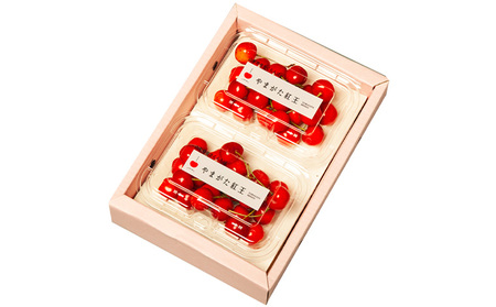 やまがた紅王 約360g 2～3Lサイズ (180g×2パック) 【令和8年産先行予約】FS25-019