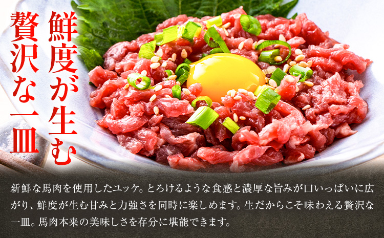 熊本 馬刺し 馬肉ユッケ 約500g ユッケたれ付き 合同会社トライウィン《90日以内に出荷予定(土日祝除く)》熊本県 菊池市 馬刺 刺身 馬肉 ユッケ たれ付き 小分け 個包装 冷凍 送料無料---