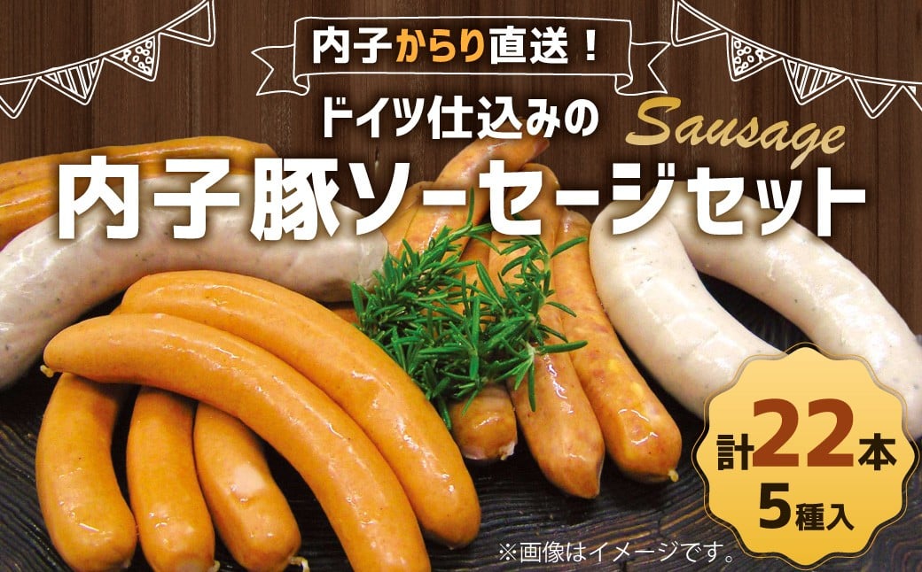 
内子からり直送！ドイツ仕込みの「内子豚ソーセージ 5種セット」 計22本 ソーセージ 内子豚 ビーナー チーズ スパイシー グリルブルスト ミュンヘナーバイスブルスト 詰め合わせ セット グルメ SPF 国産 愛媛県【えひめの町（超）推し！（内子町）】(281)
