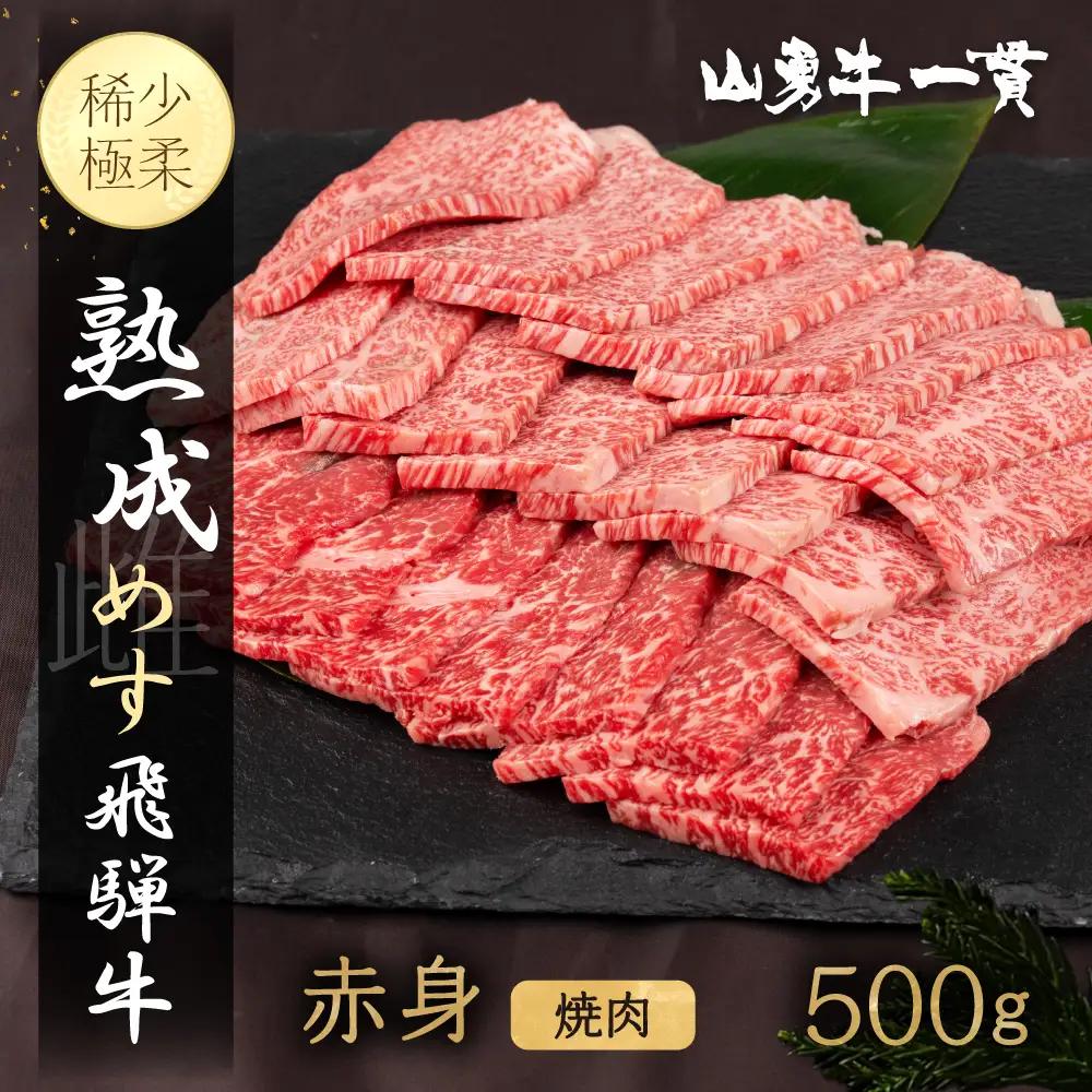熟成めす 飛騨牛 山勇牛 焼肉 赤身 500g 飛騨牛 焼肉 赤身