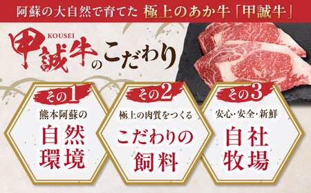【全3回定期便】熊本県産 あか牛 ロースステーキ セット 計400g ( 200g × 2枚 ) 冷凍 専用タレ付き あか牛のたれ付き 熊本和牛【有限会社 三協畜産】[YCG053]