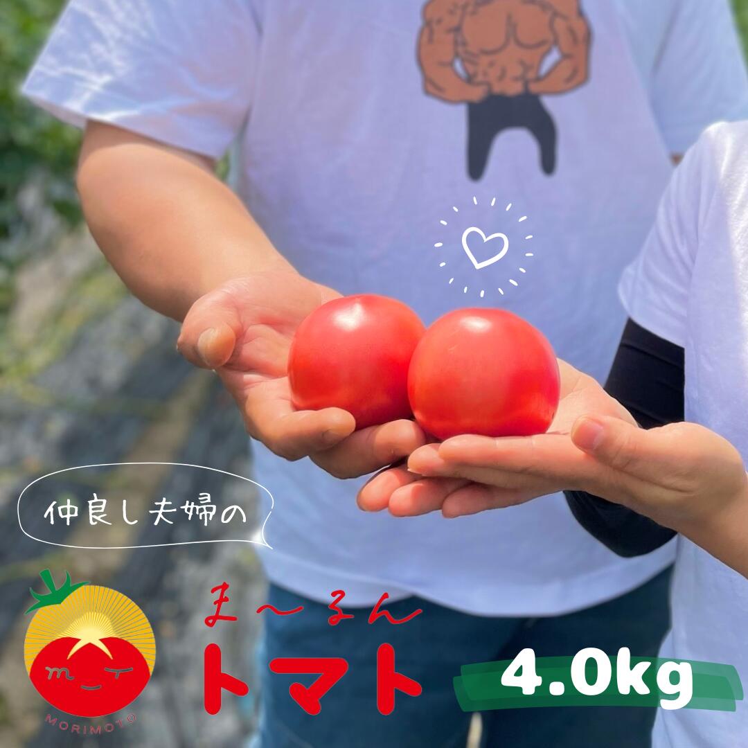 【ふるさと納税】【先行予約】熊野市産 仲良し夫婦の ま～るんトマト 4kg ※2025年12月上旬から2026年6月中旬ごろに順次発送予定