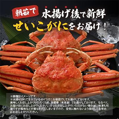 ふるさと納税 美浜町 【2025年11月より順次発送】《おまかせ》茹でセイコガニ　3杯  　茹でたてをその日に発送致します |  | 01