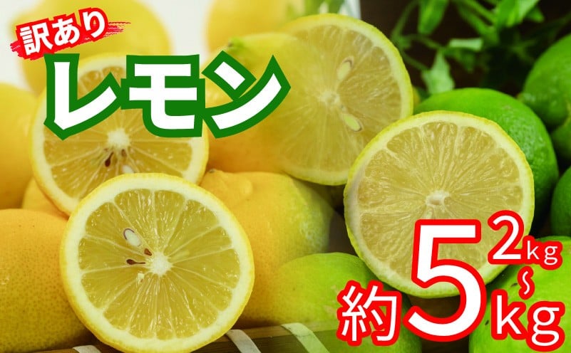 
            訳あり レモン サイズ不揃い 約2kg / 約5kg | 訳あり れもん レモン グリーンレモン イエローレモン 檸檬 国産 旬のフルーツ 愛媛県 松山市
          