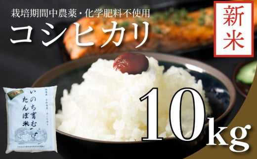 お米 10kg コシヒカリ 新米 令和6年産 米 こめ ご飯 ごはん おにぎり 卵かけご飯 白米 栽培期間中無農薬 食品 備蓄 備蓄米 保存 防災 ギフト 贈答 プレゼント お取り寄せ グルメ 送料無料 徳島県