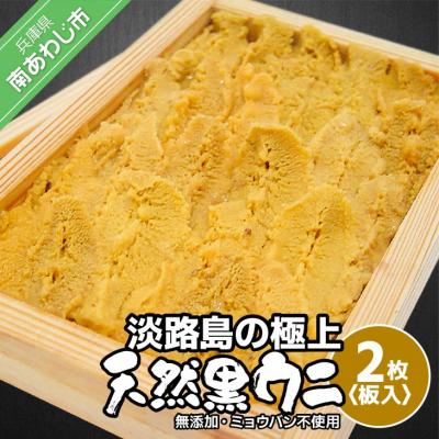 ふるさと納税 南あわじ市 先行受付【花光】淡路島の至極ウニ!天然黒ウニ(板入2枚)【無添加・ミョウバン不使用・期間/数量限定】