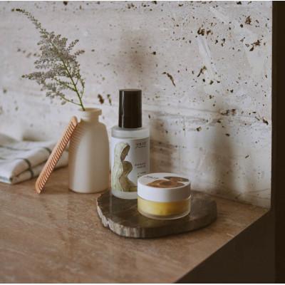 ふるさと納税 茅野市 アカマツ バーム 樹木 |  | 03