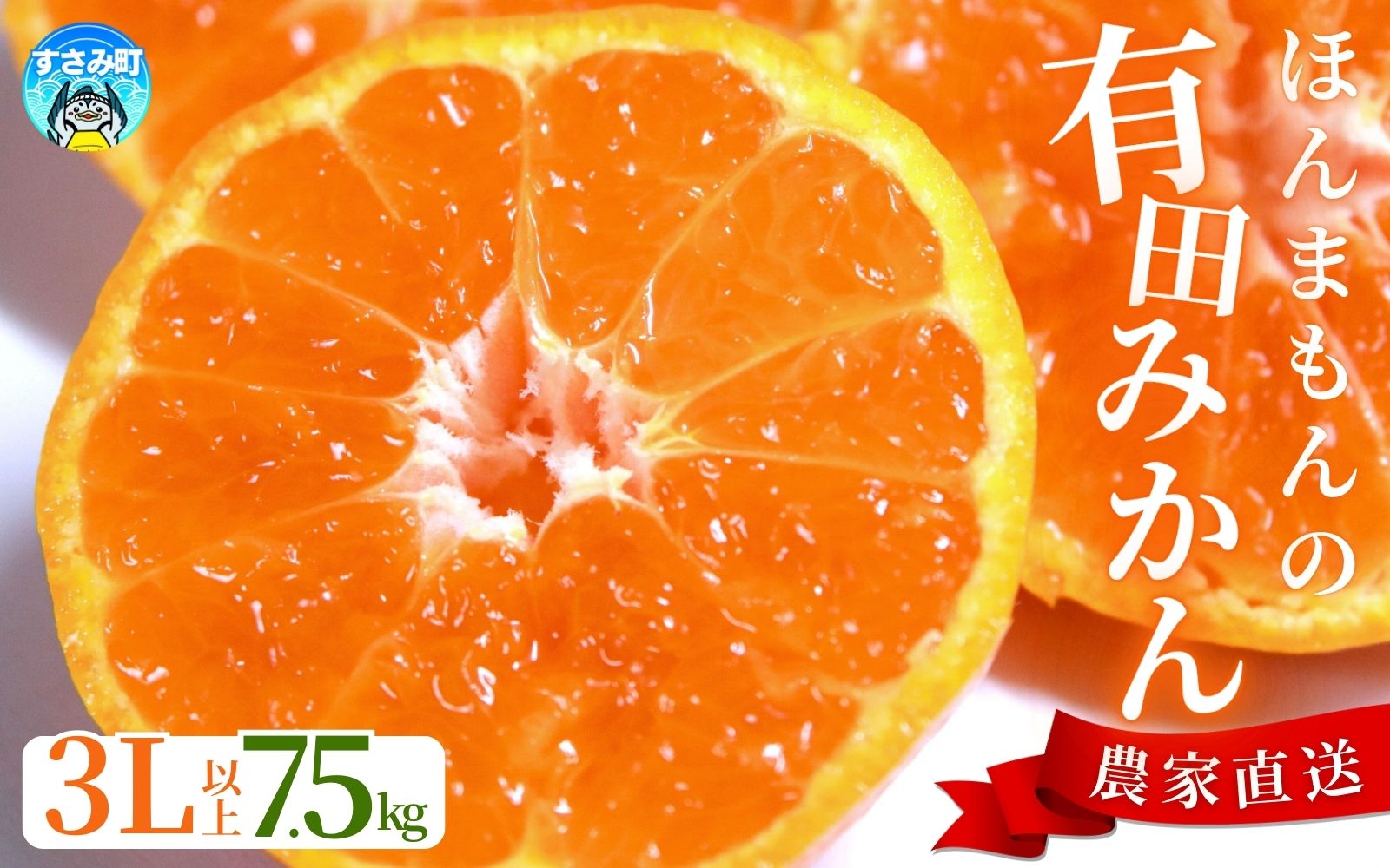 【農家直送】有田みかん  大玉3L以上 約7.5kg 有機質肥料100% ※2025年12月初旬～1月中旬に順次発送(お届け日指定不可)【nuk158C】
