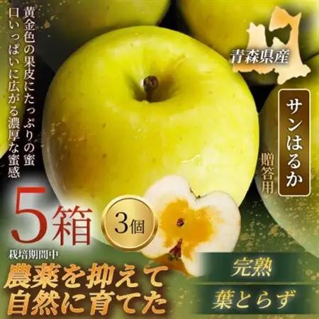 【青森直送 季節の味覚をお届け!】サンはるか 3個入×5箱(贈答用)青森産 産地直送 限定生産【配送不可地域：離島】【1700926】