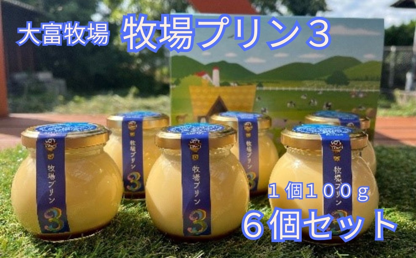 
                  大富牧場『牧場プリン3』6個セット / 佐賀県 /大富牧場フライングカウ  [41ANAG001]
                