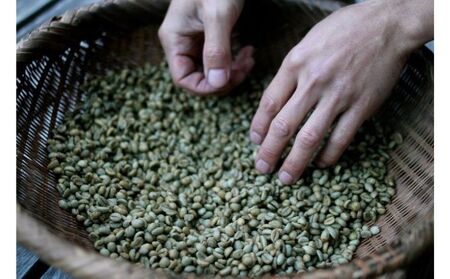 森のしずく 炭火焙煎珈琲 500g 飲料類 コーヒー 珈琲 コーヒー豆 珈琲豆