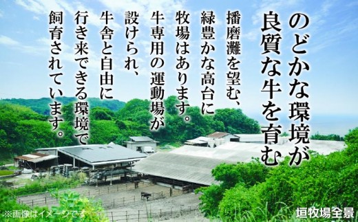 【緊急支援品】垣牧場直売「淡路姫和牛」切り落とし・たれ漬けセット 800g