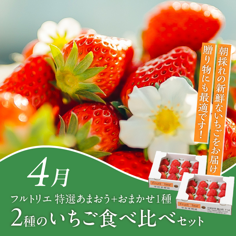 【定期便 6回】旬を味わう定期便 _ 定期便 6回 隔月お届け しゃぶはり鍋 セット 特選 あまおう 食べ比べ 梅のしずく シャインマスカット 梨 はかた地どり 美人鍋 水炊き グルメ おかず フルー